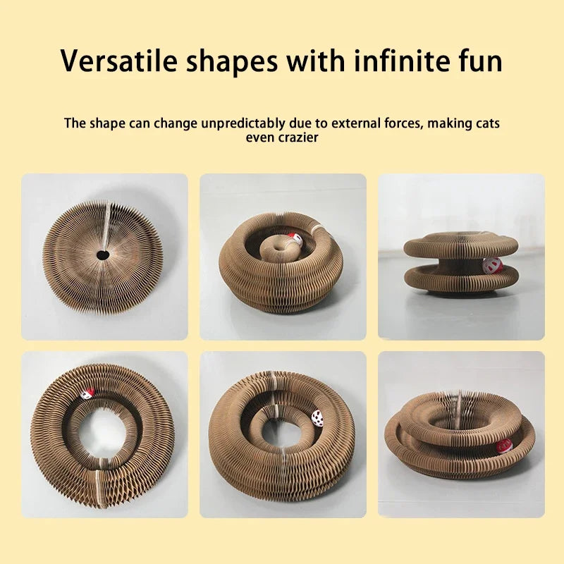 PawTwist : Endless Fun and Exercise